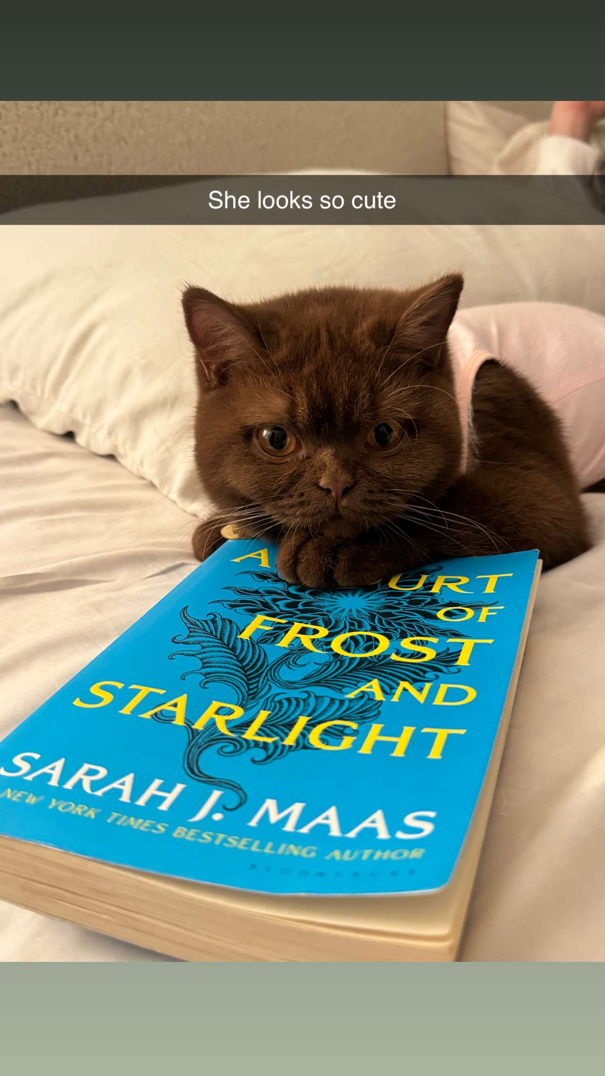 skilahblue snapchat image archive image