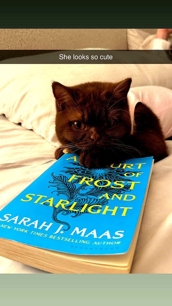 skilahblue image ~ Altpins