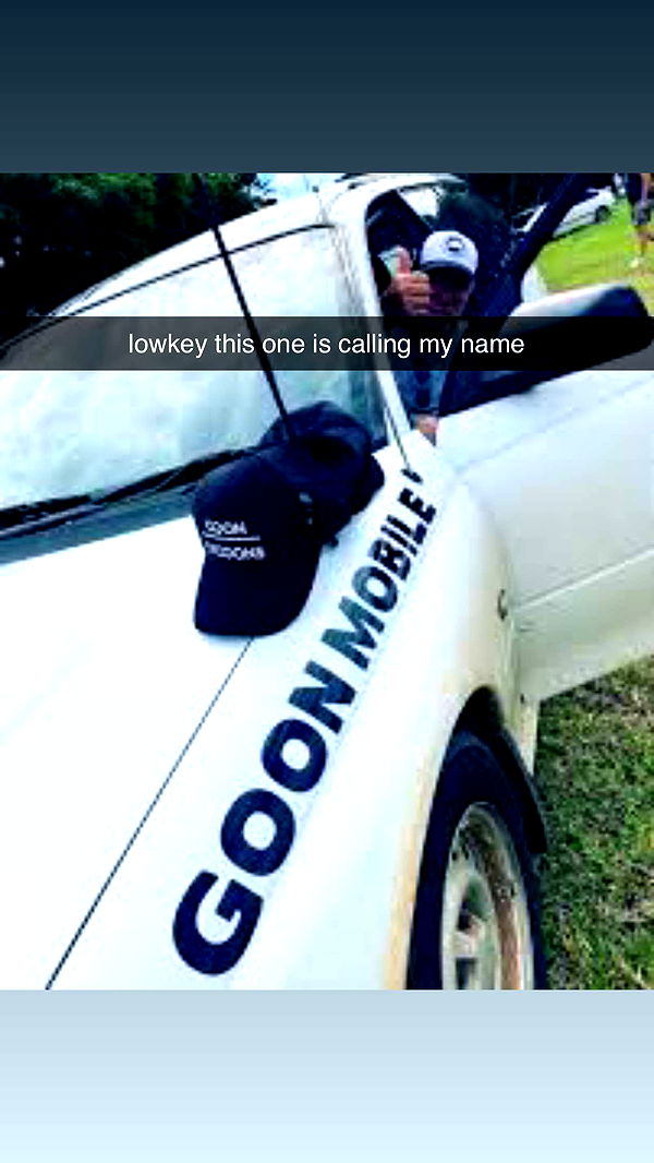 skilahblue image ~ Altpins