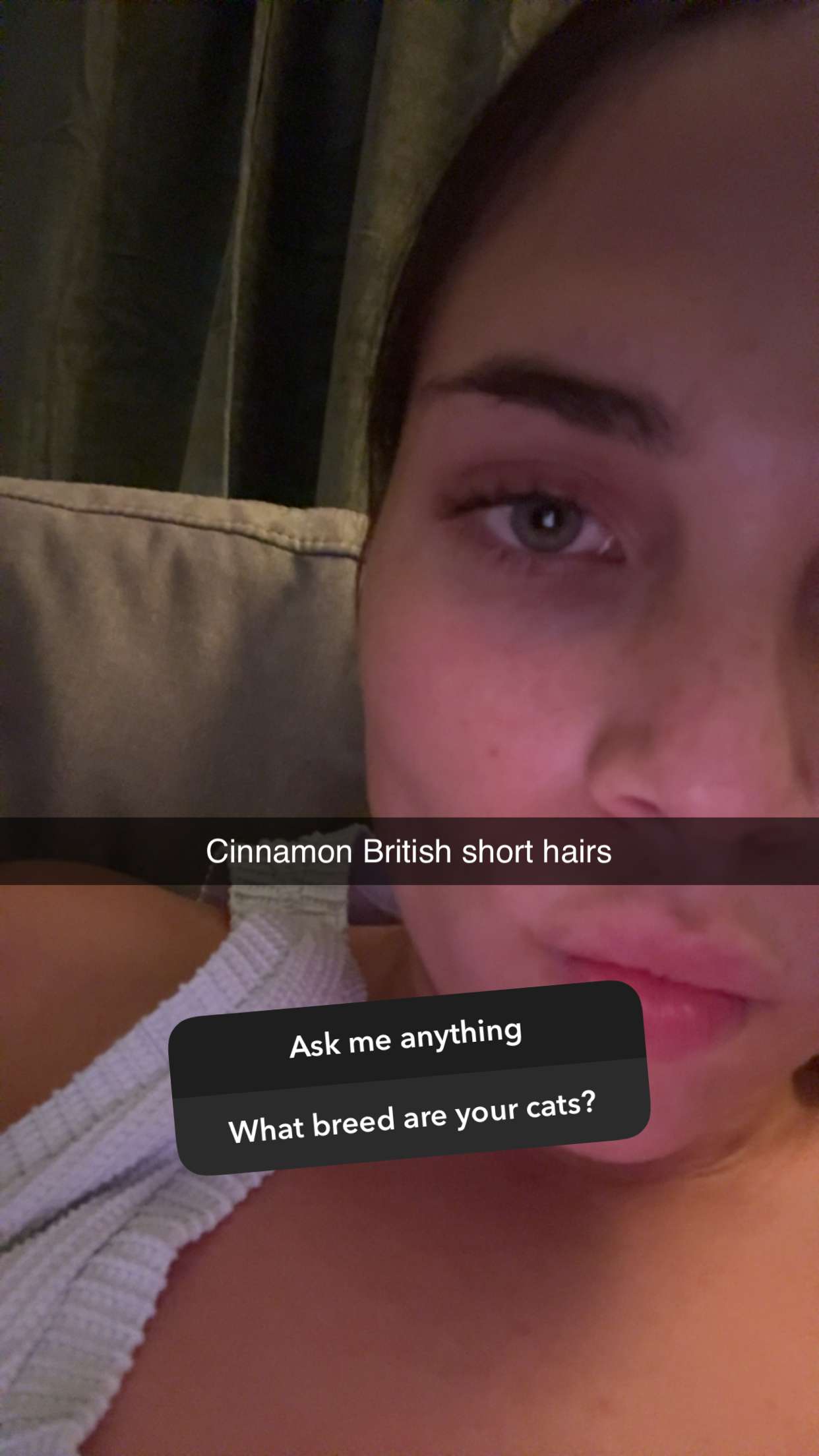 skilahblue snapchat image archive image