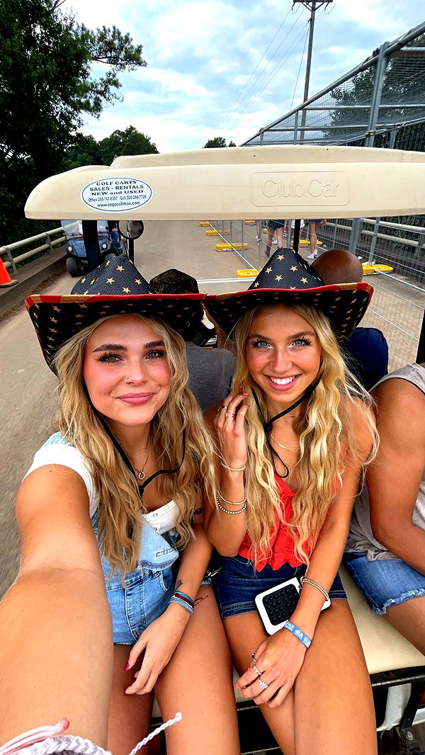 skilahblue image ~ Altpins