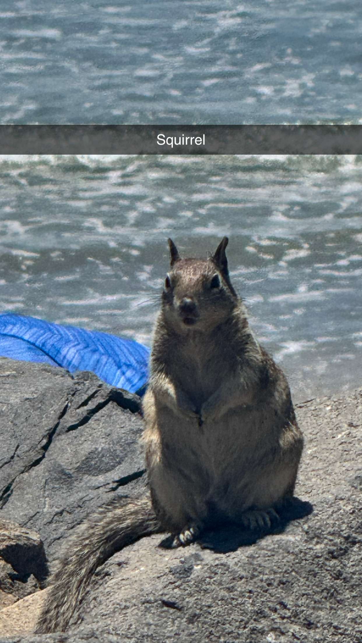 skilahblue snapchat image archive image