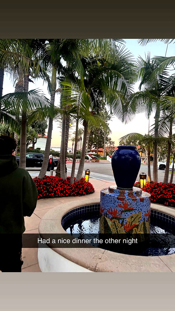 skilahblue image ~ Altpins