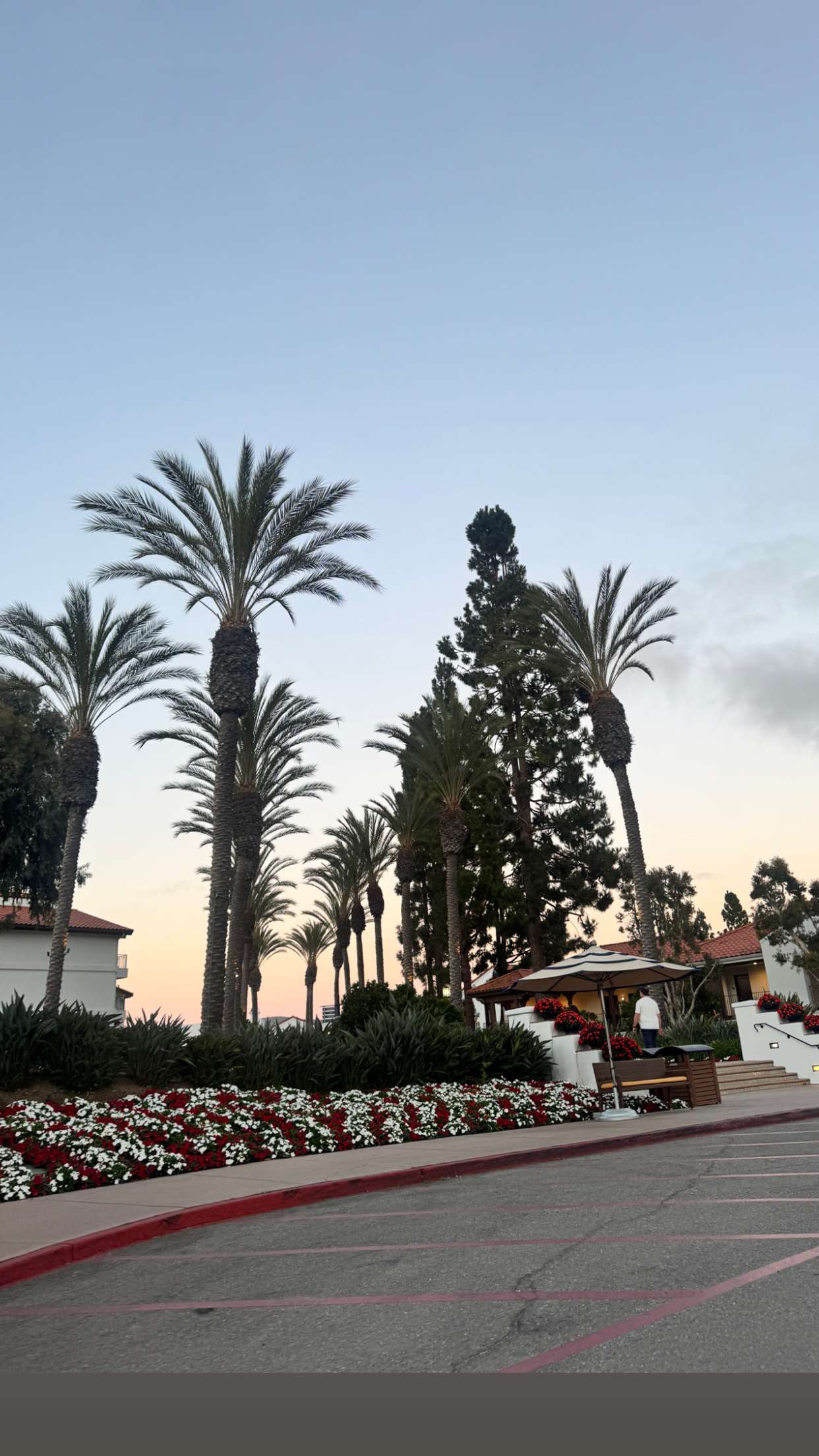 skilahblue snapchat image archive image