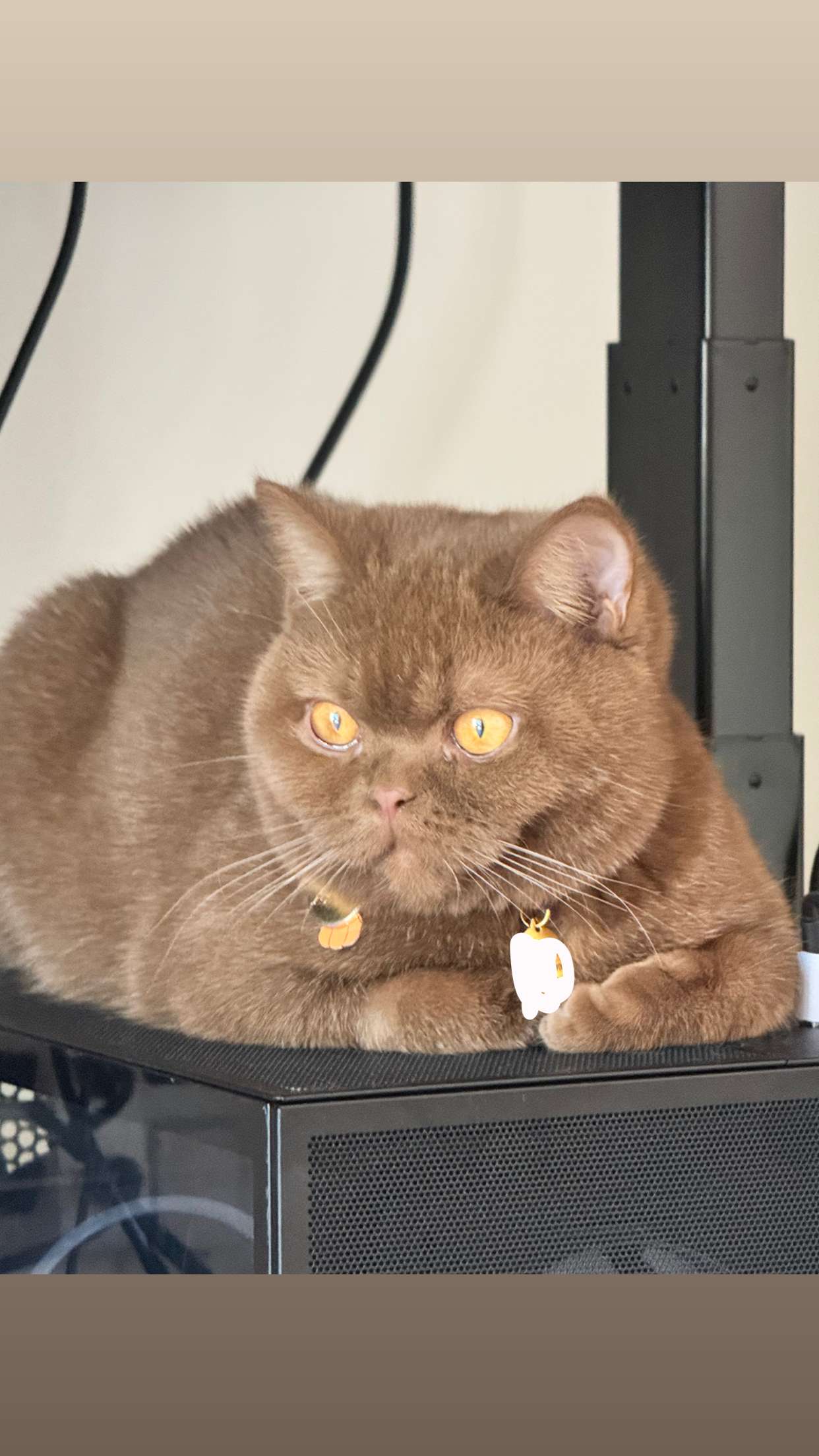 skilahblue snapchat image archive image