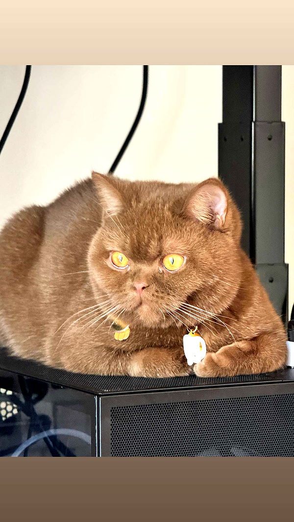 skilahblue image ~ Altpins