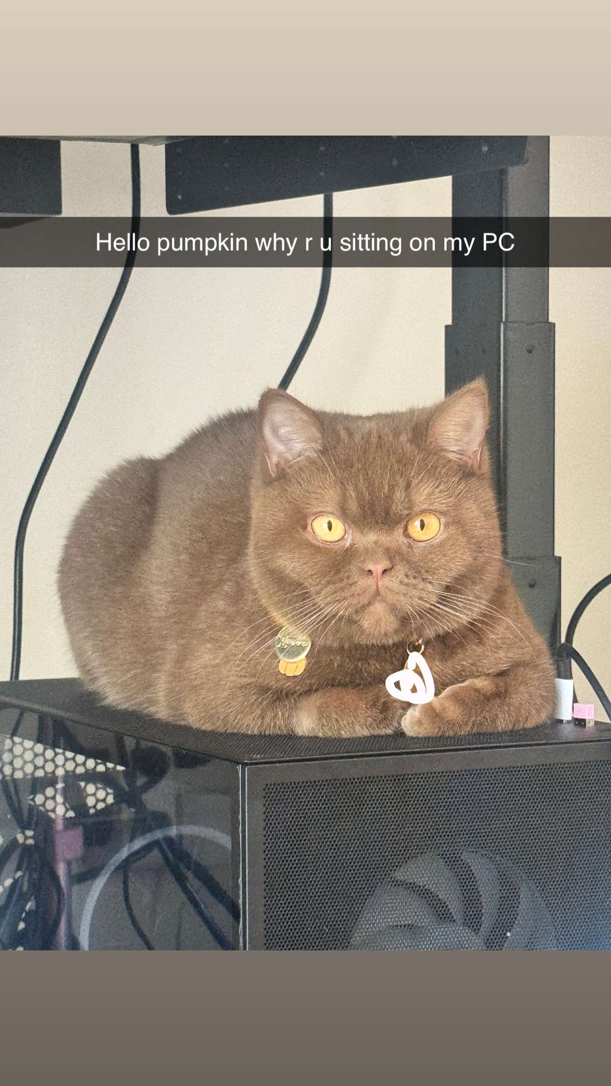 skilahblue snapchat image archive image