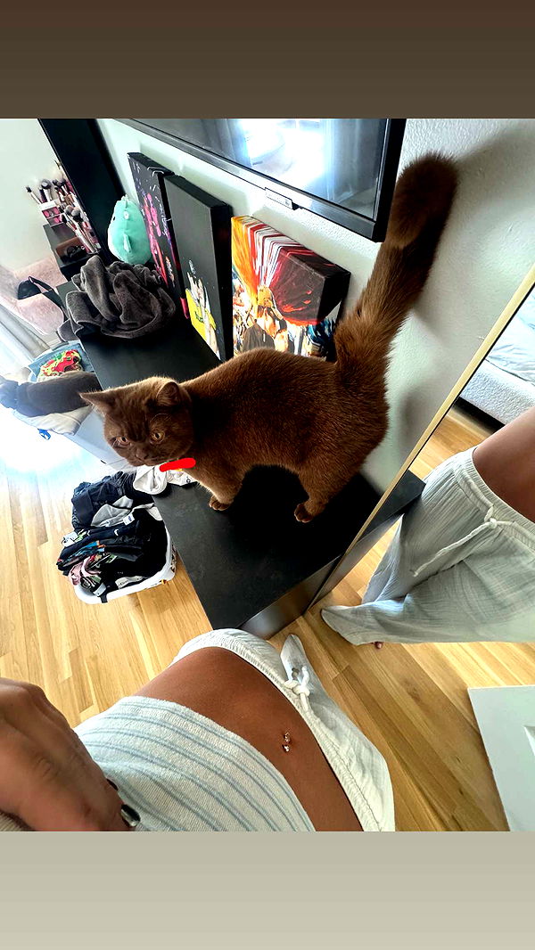 skilahblue image ~ Altpins