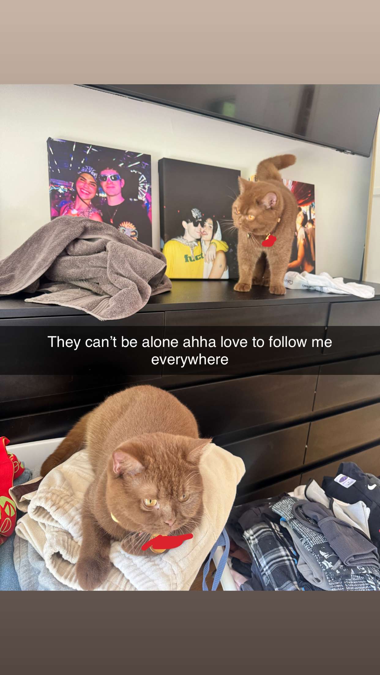 skilahblue snapchat image archive image