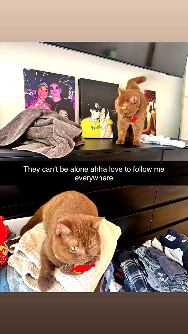 skilahblue image ~ Altpins