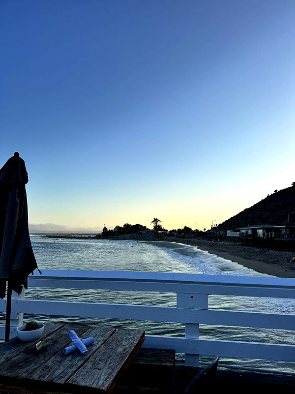 skilahblue image ~ Altpins