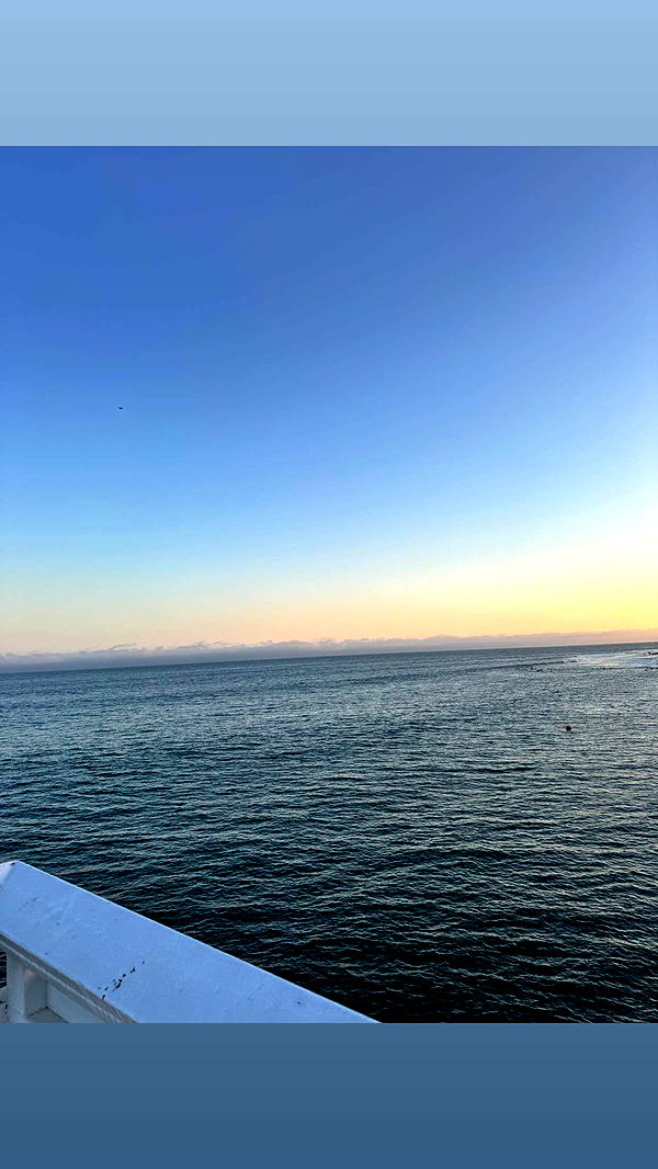 skilahblue image ~ Altpins