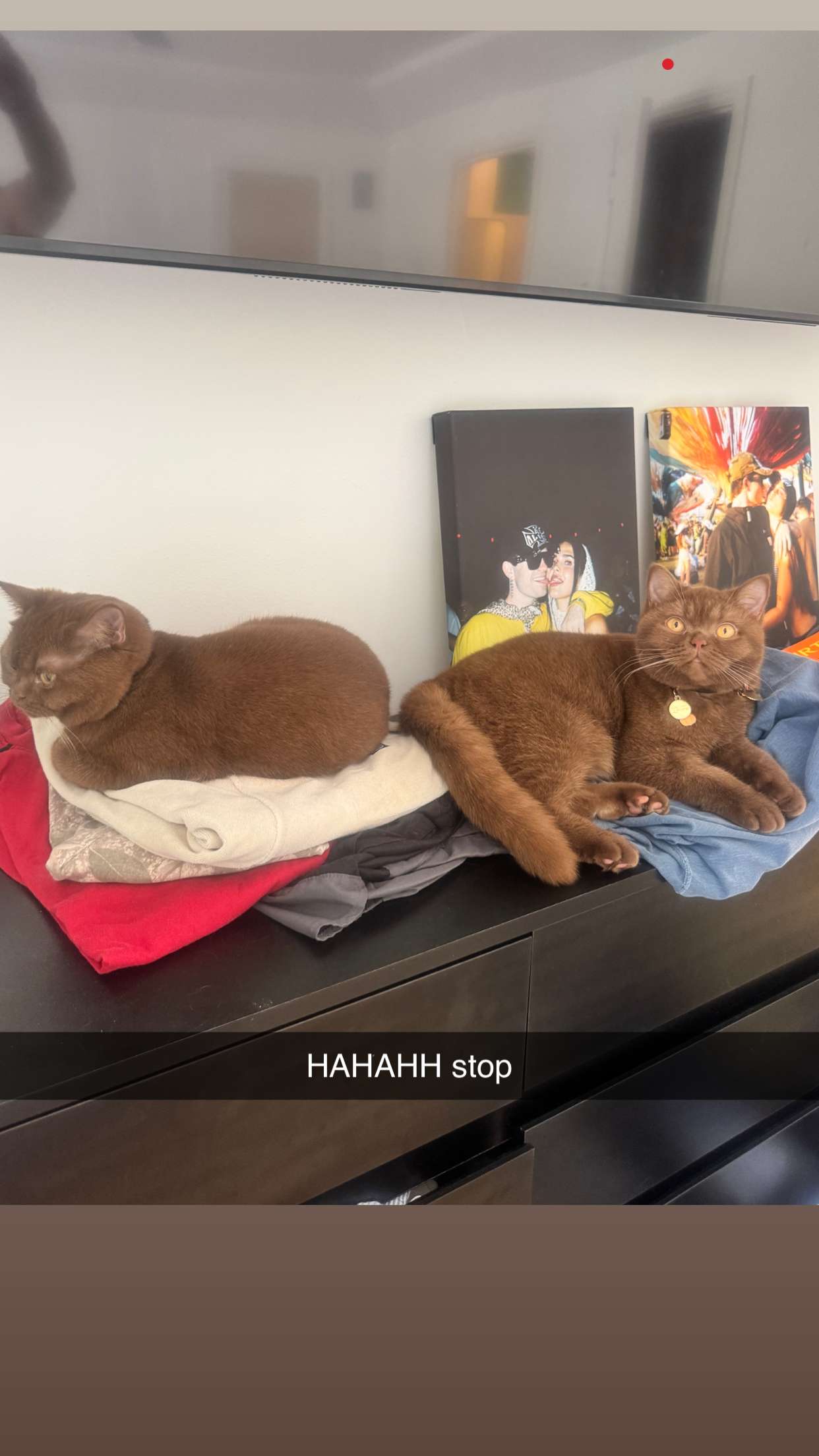 skilahblue snapchat image archive image