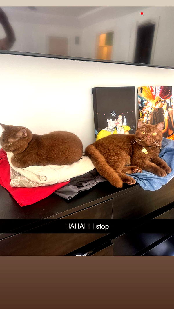 skilahblue image ~ Altpins