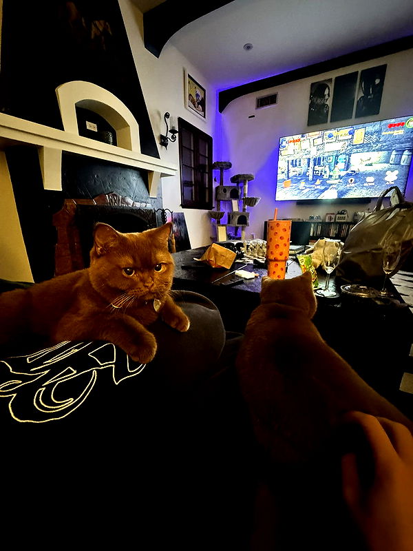 skilahblue image ~ Altpins