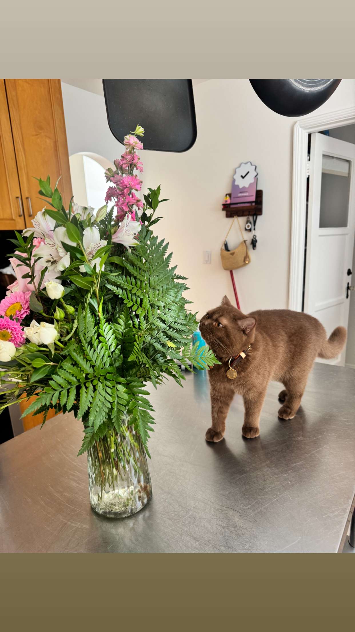 skilahblue snapchat image archive image