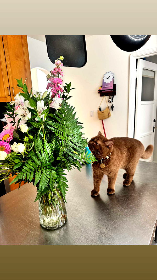 skilahblue image ~ Altpins