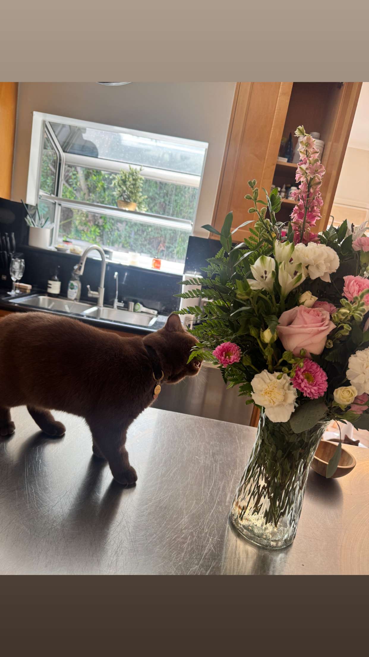 skilahblue snapchat image archive image