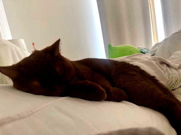 skilahblue image ~ Altpins