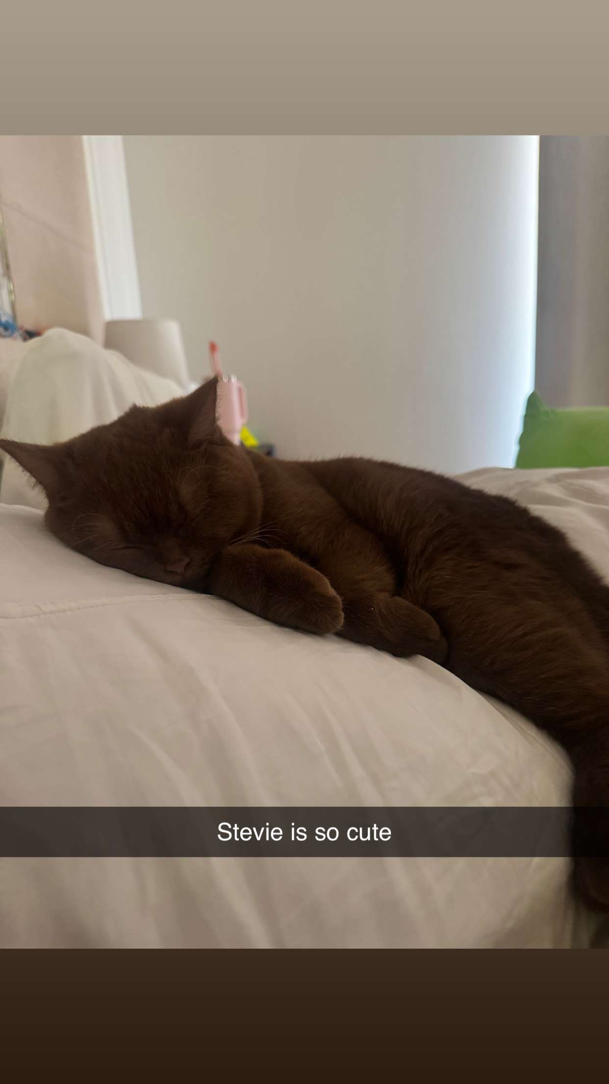 skilahblue snapchat image archive image