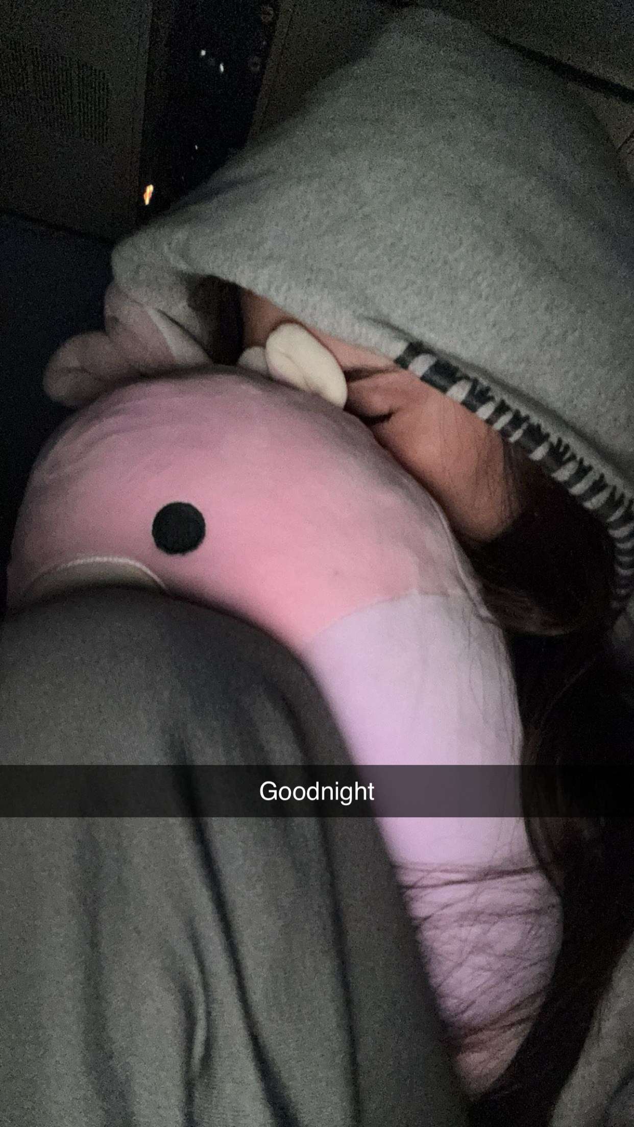 skilahblue snapchat image archive image