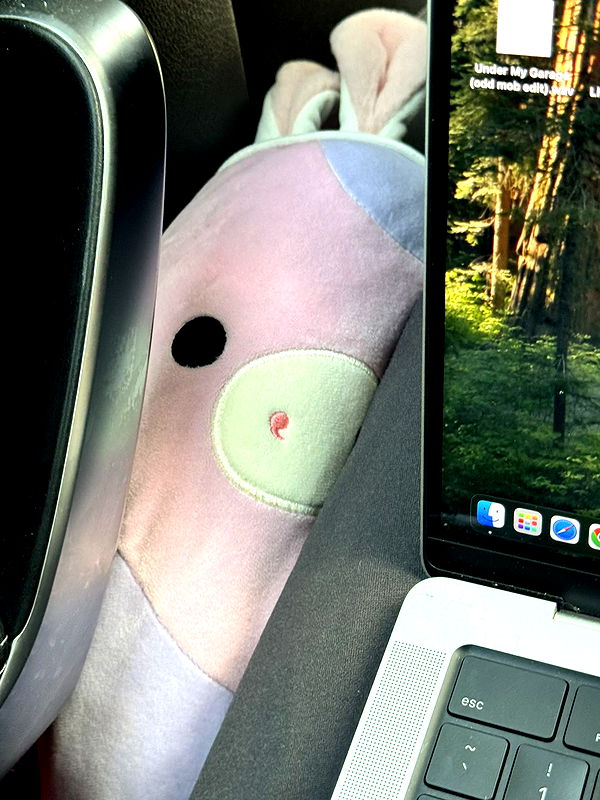 skilahblue image ~ Altpins