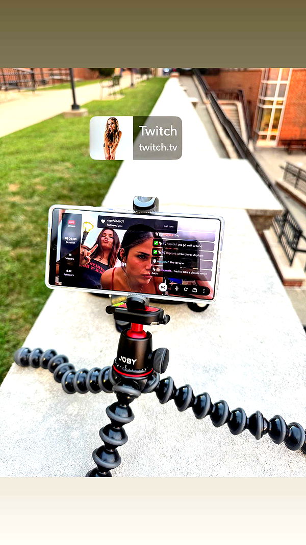 skilahblue image ~ Altpins