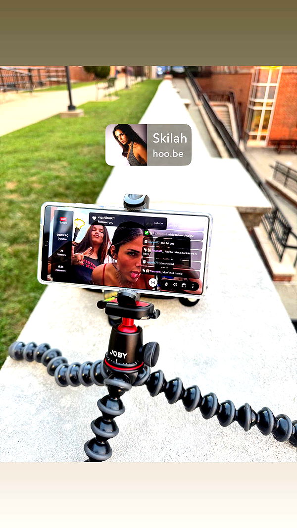 skilahblue image ~ Altpins