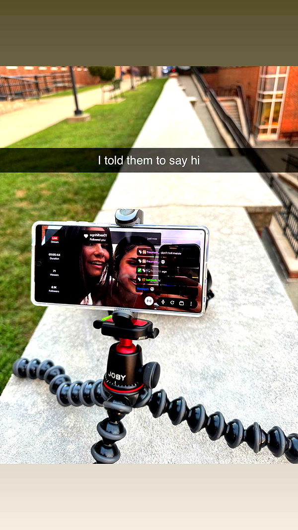 skilahblue image ~ Altpins