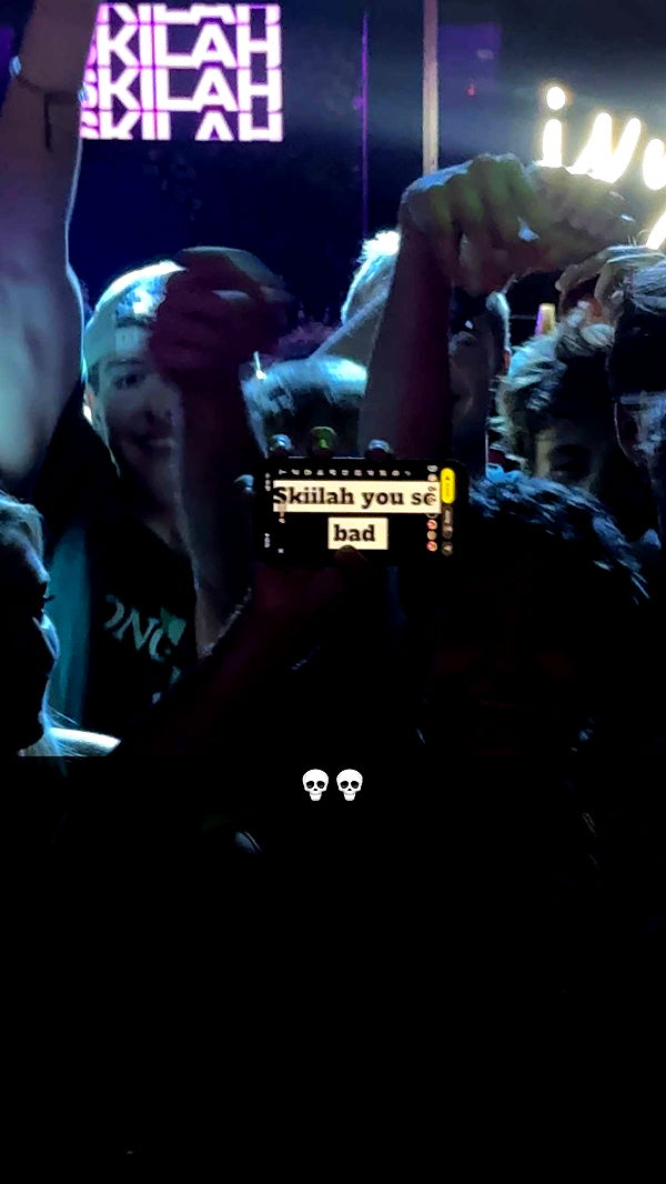 skilahblue image ~ Altpins