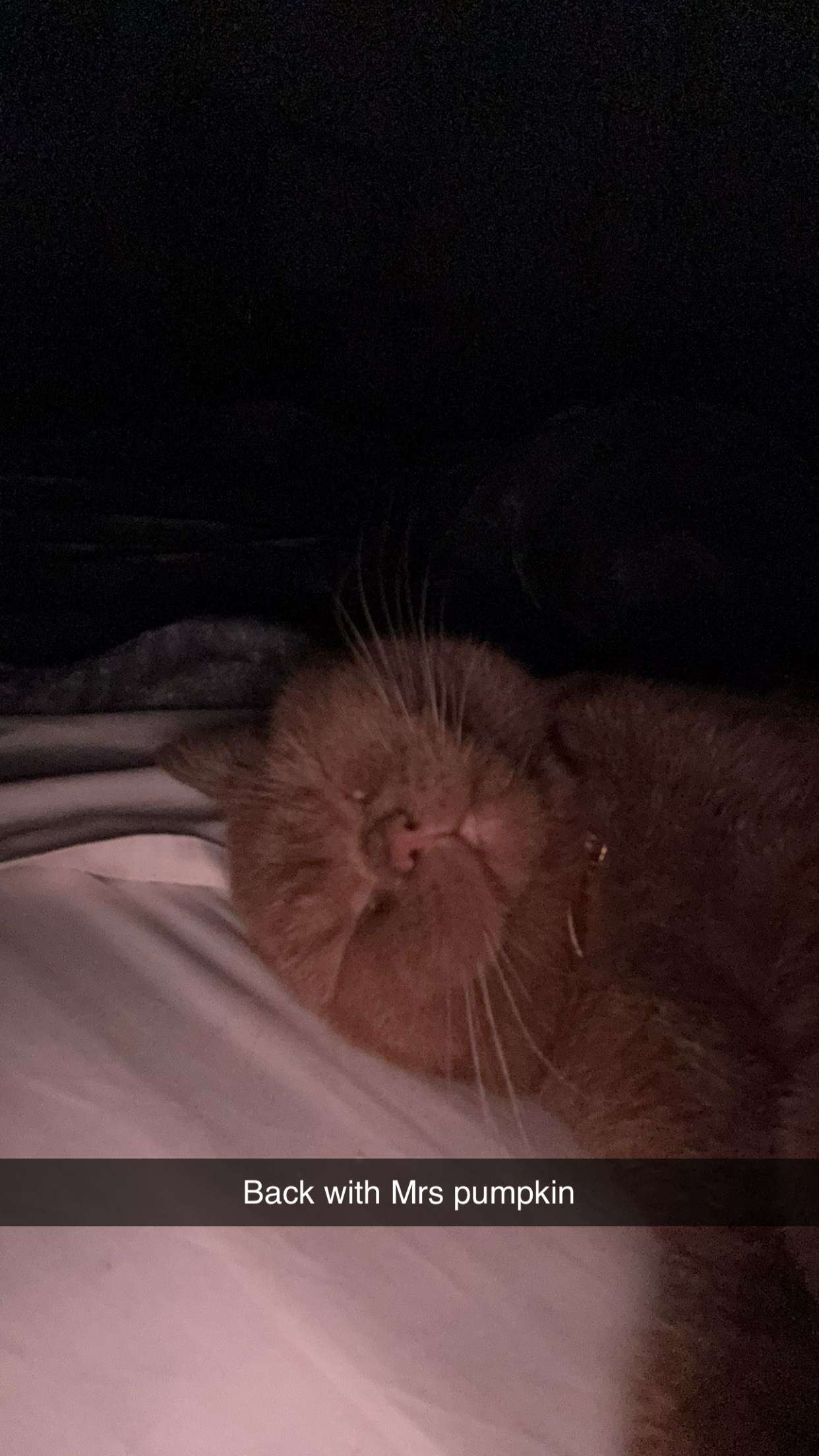 skilahblue snapchat image archive image