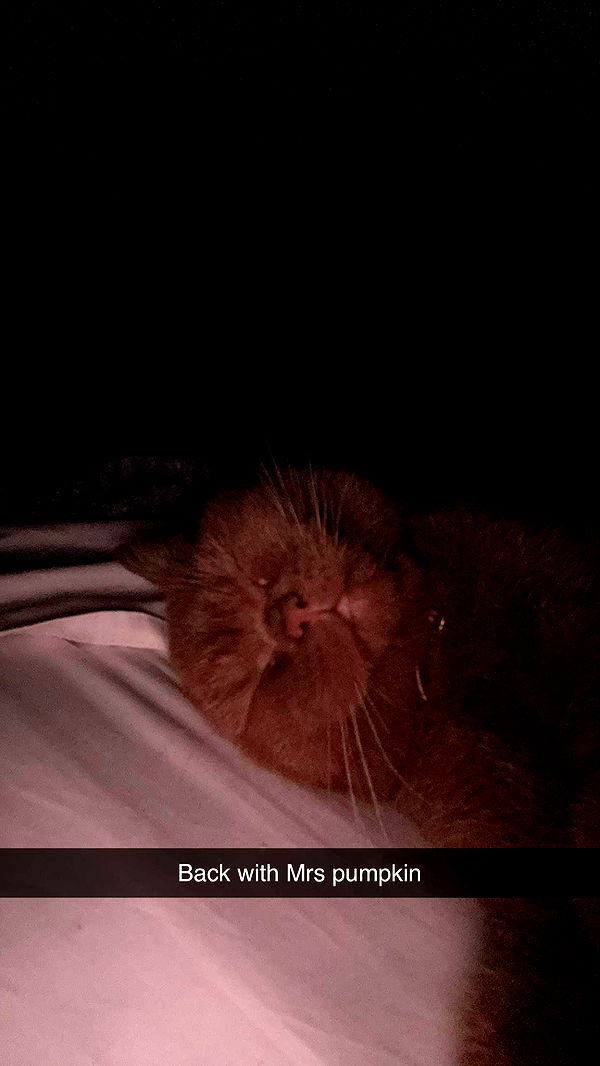 skilahblue image ~ Altpins