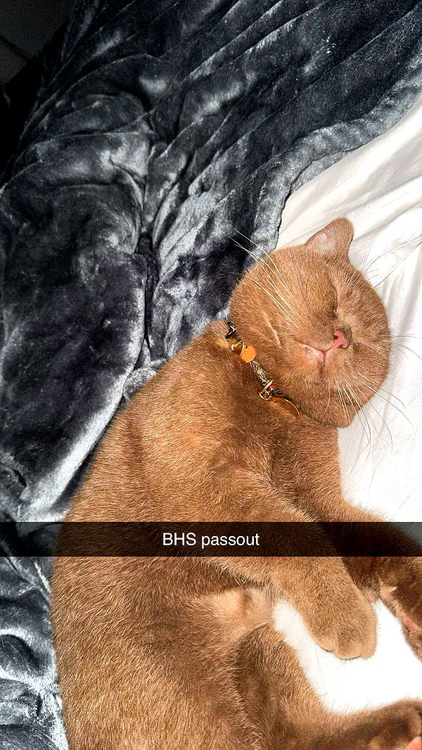 skilahblue image ~ Altpins