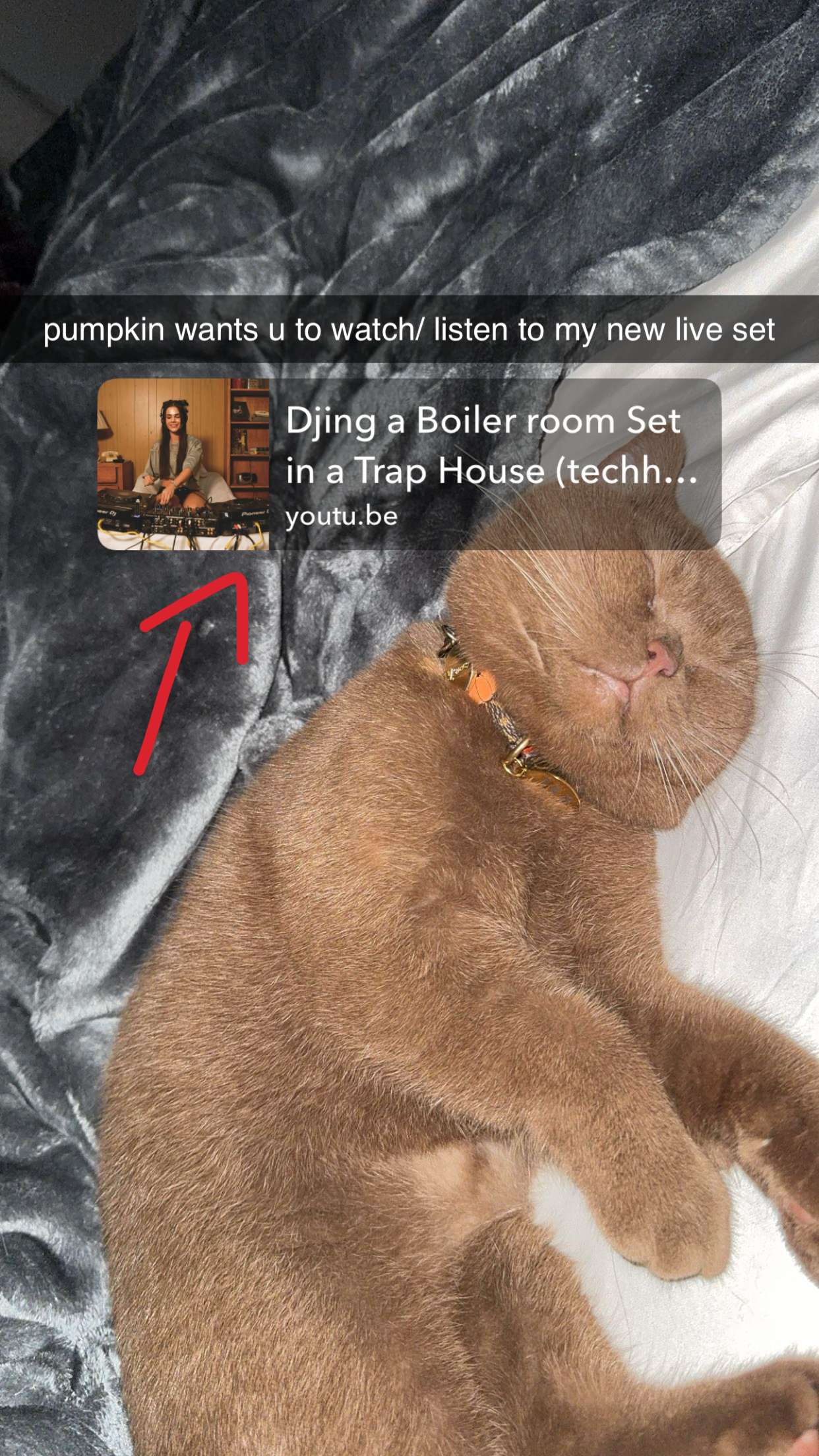 skilahblue snapchat image archive image