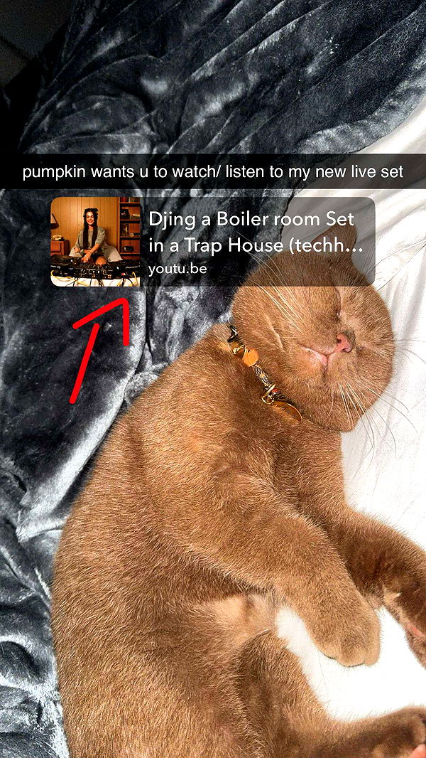 skilahblue image ~ Altpins