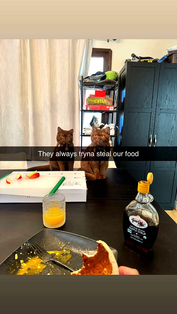 skilahblue image ~ Altpins