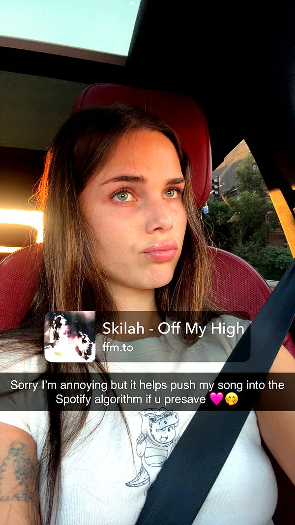 skilahblue image ~ Altpins