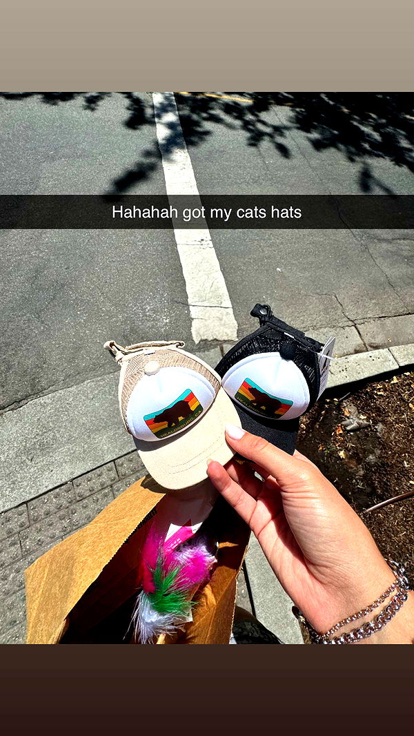 skilahblue image ~ Altpins