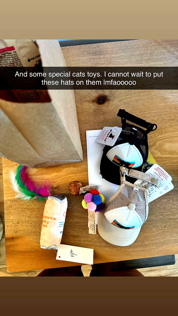 skilahblue image ~ Altpins