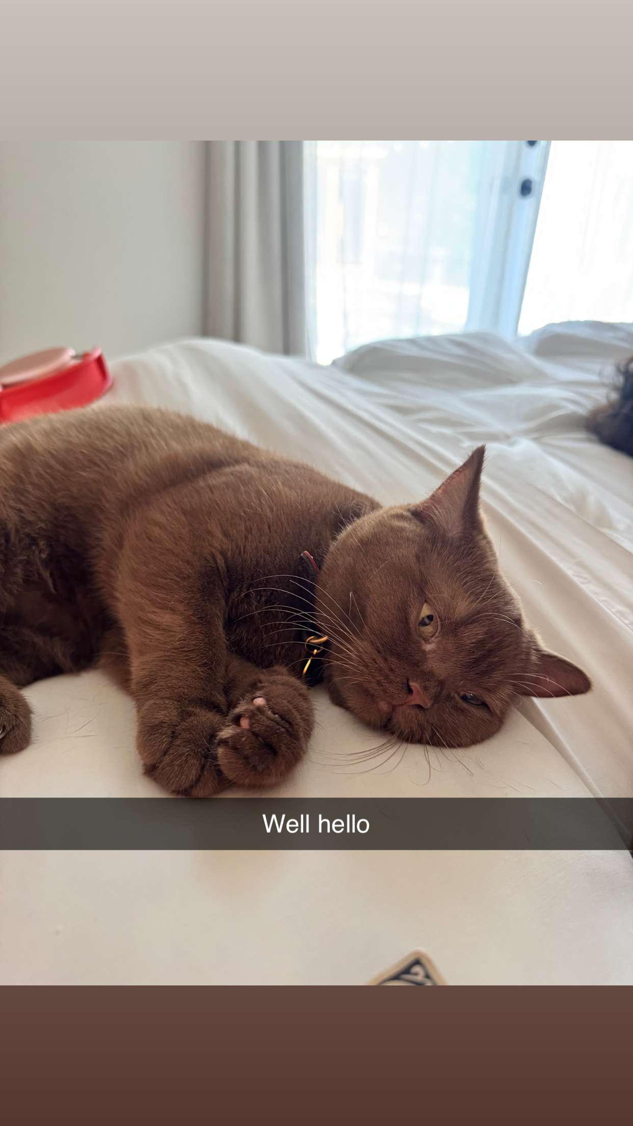 skilahblue snapchat image archive image