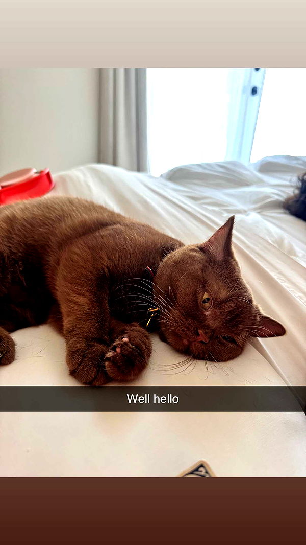 skilahblue image ~ Altpins