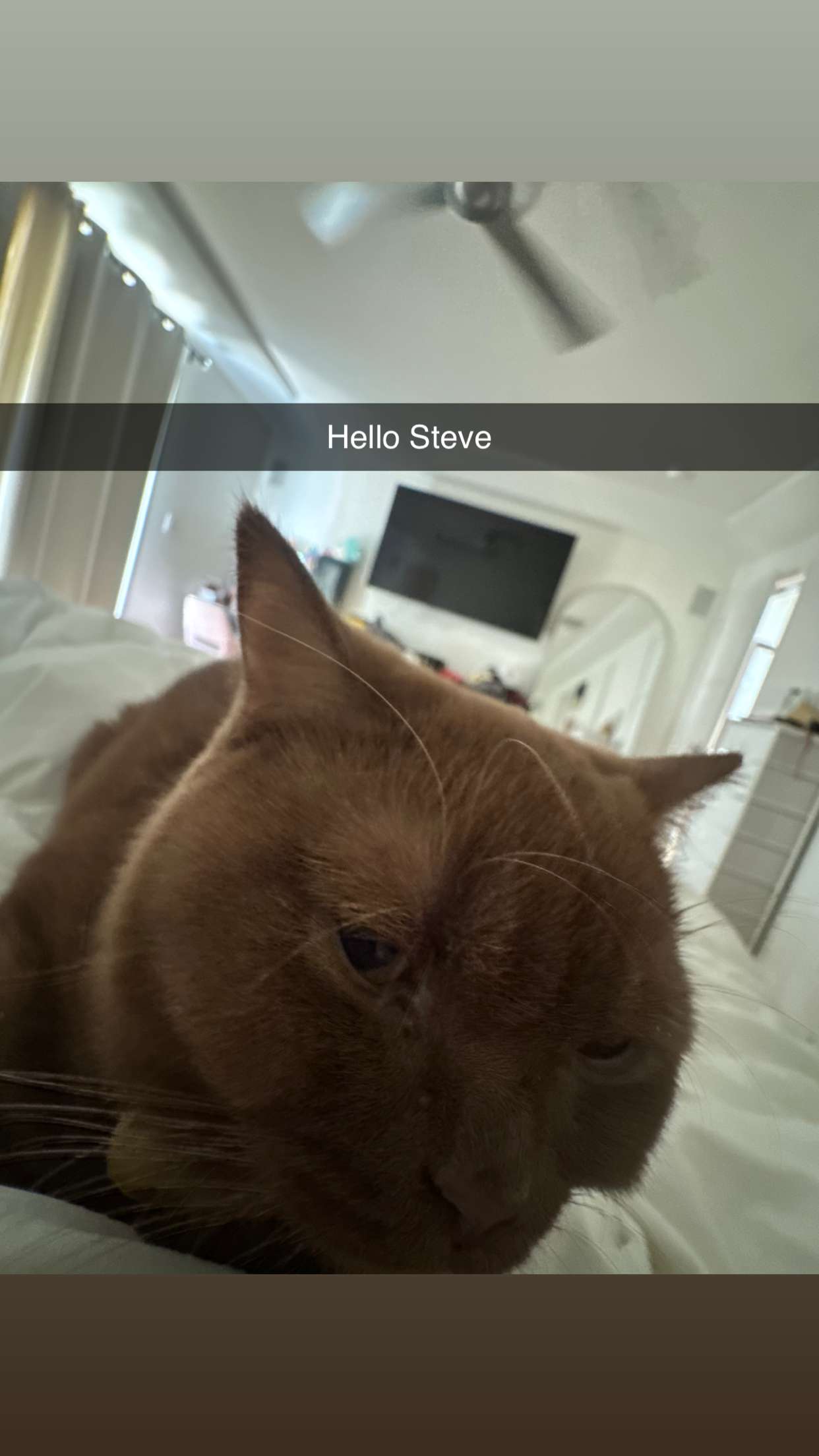 skilahblue snapchat image archive image