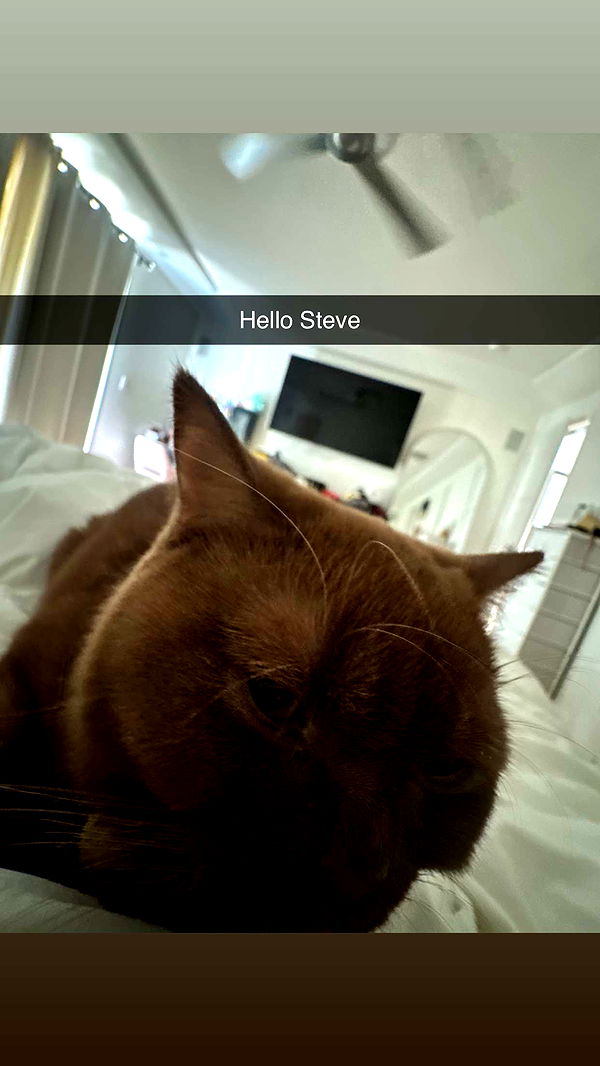 skilahblue image ~ Altpins