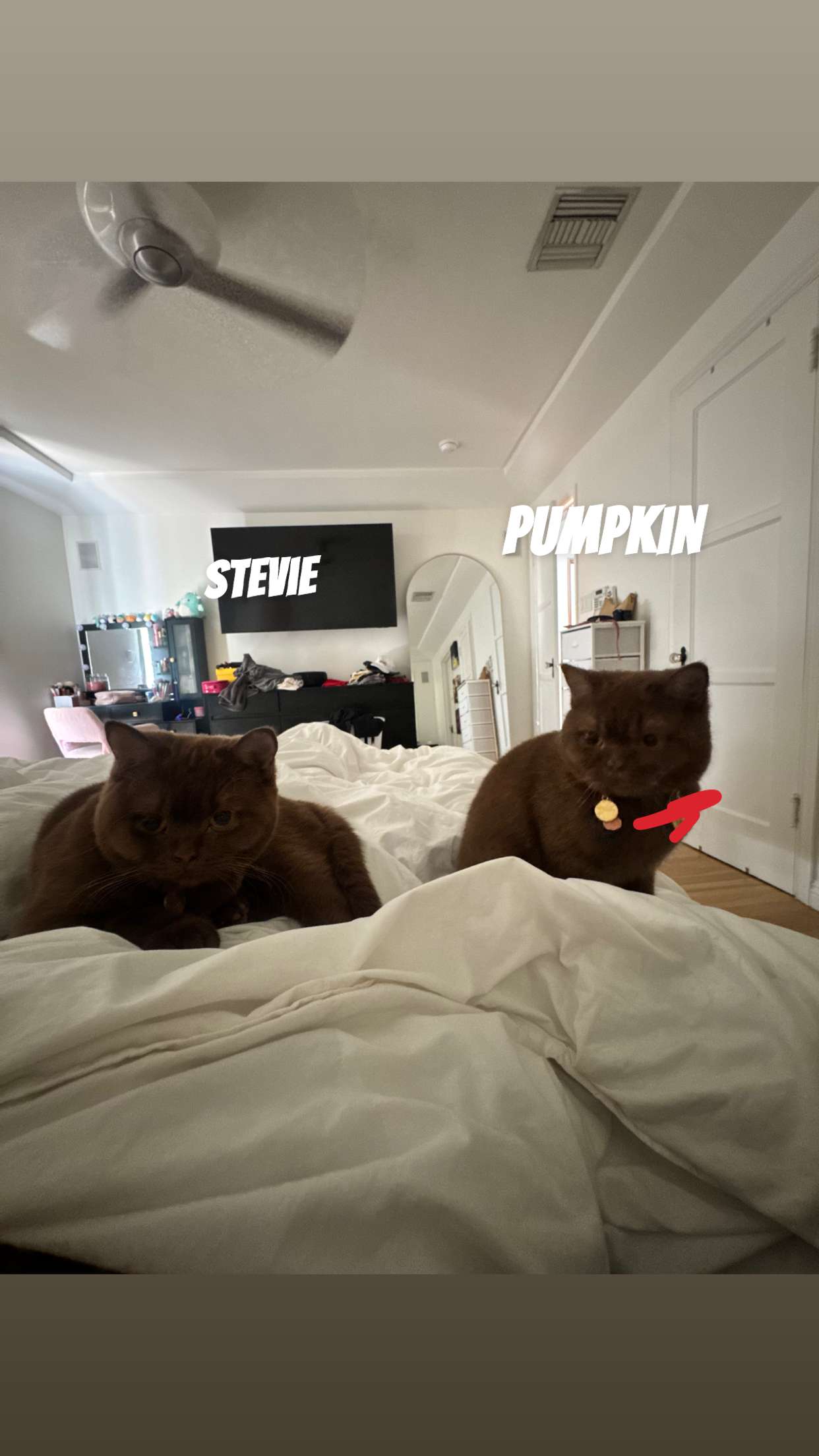 skilahblue snapchat image archive image