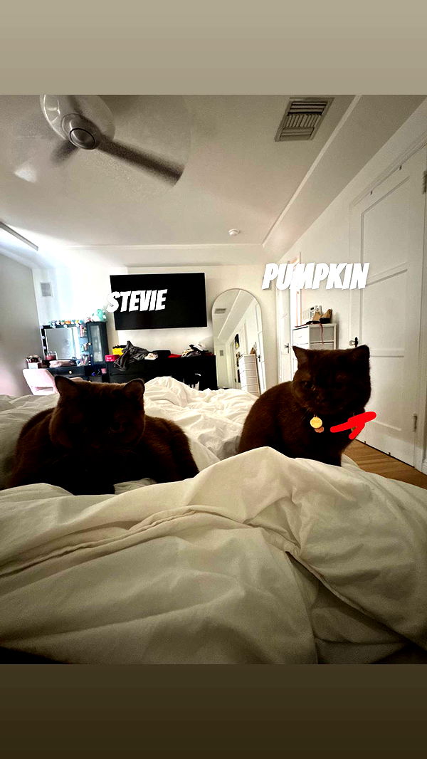 skilahblue image ~ Altpins