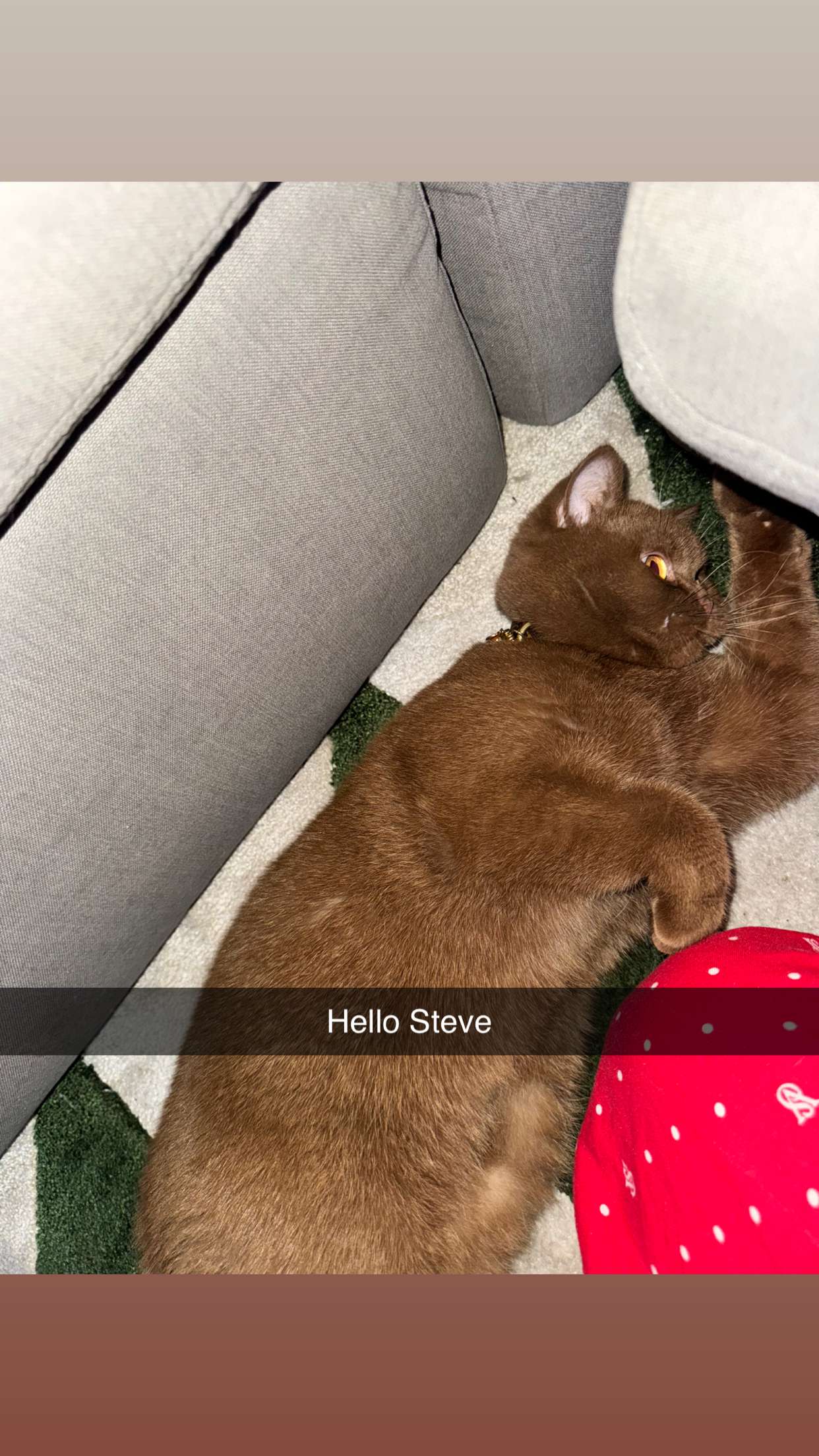 skilahblue snapchat image archive image