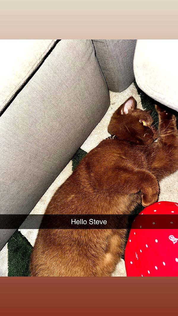 skilahblue image ~ Altpins