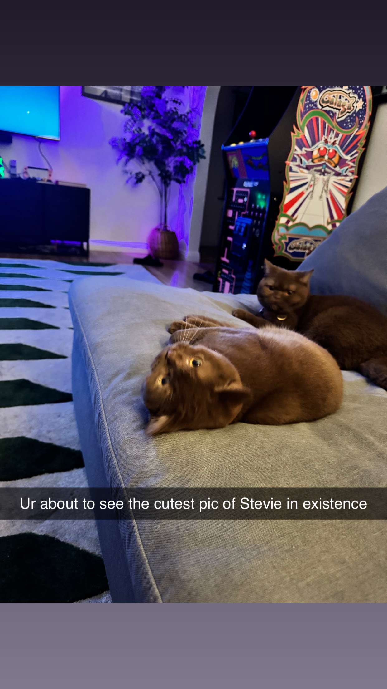 skilahblue snapchat image archive image