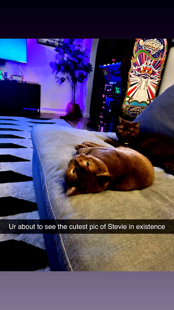 skilahblue image ~ Altpins