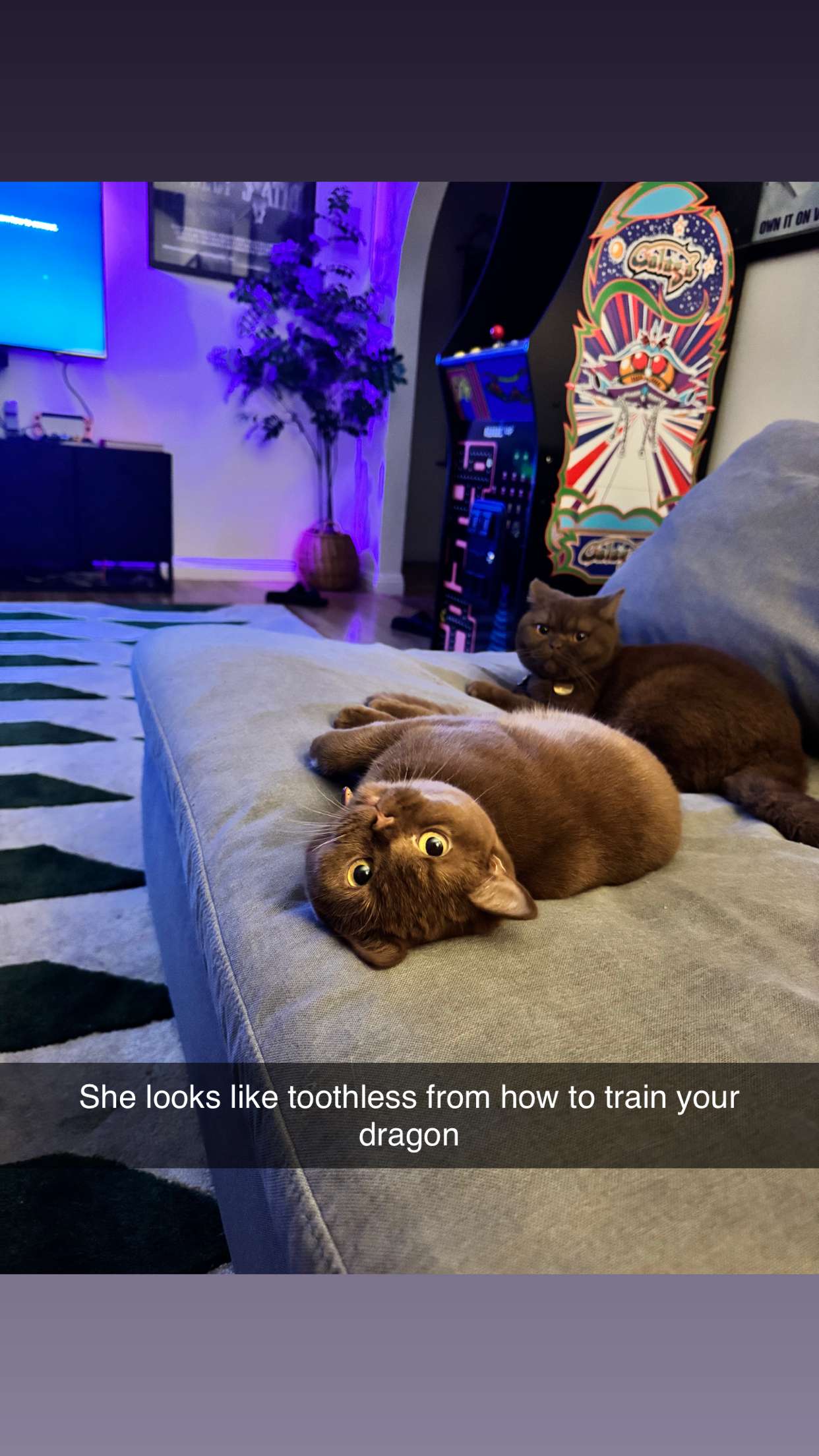 skilahblue snapchat image archive image